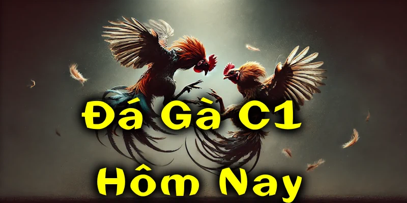 Đá Gà C1 Hôm Nay QQ88 - Nín Thở Xuống Tiền Đặt Cược Cùng 3 Đá gà C1 Hôm Nay