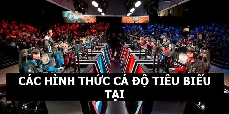 IA E-SPORTS QQ88 - Sảnh Cược Uy Tín Nhiều Kèo Tỷ Lệ Thưởng Cao 6 Những hình thức cá độ thường thấy tại sảnh thể thao điện tử IA