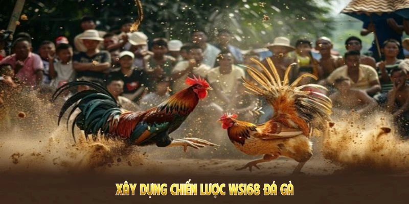 WS168 Đá Gà QQ88 - Nơi Hội Tụ Những Kê Thủ Đam Mê Chọi Kê 6 Xây dựng chiến lược khôn ngoan tại WS168 đá gà